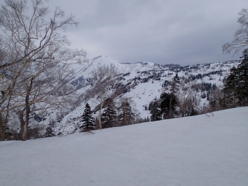 c0321967_21312181.jpeg