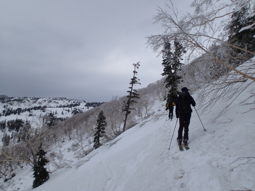 c0321967_21331490.jpeg