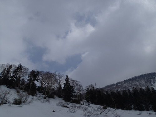 c0321967_21574736.jpeg