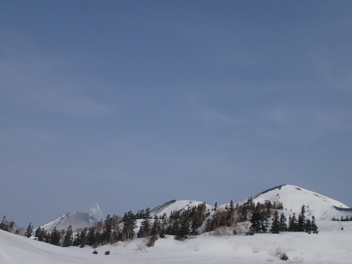 c0321967_22212652.jpeg