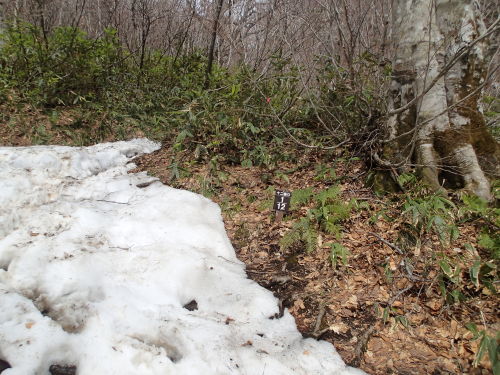 c0321967_22574793.jpeg