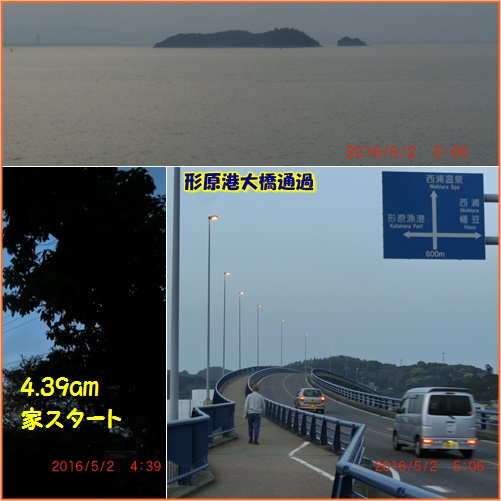 蒲郡市のつつじと西浦魚市場 小次郎じじ物語