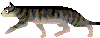 c0063182_10152759.gif