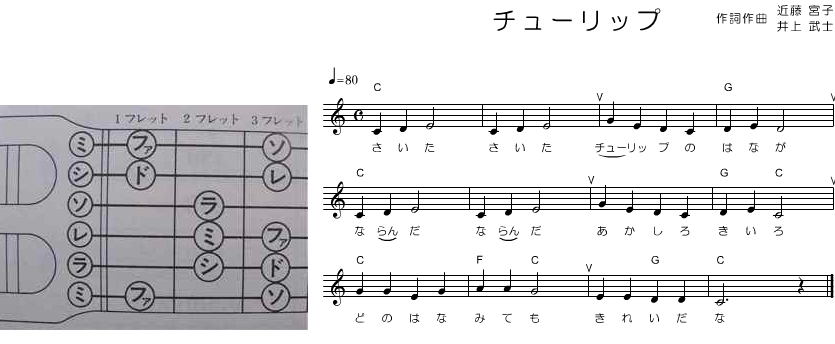 チューリップ　（童謡）メロディ　♪_a0165183_197415.png