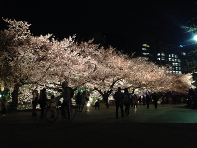 桜祭り❗️_b0005683_16232582.jpg