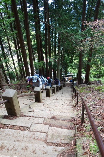 大山街道（８）相州大山02 阿夫利神社_d0183387_13343230.jpg