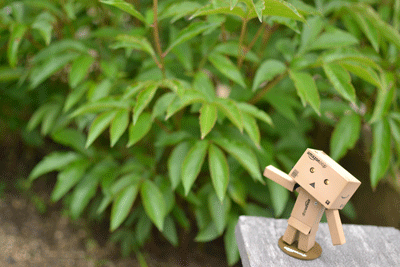 e0246788_13491080.gif