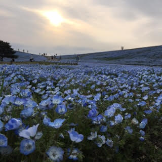 e0124690_6502128.jpg
