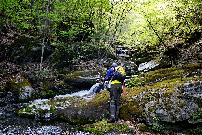 c0339900_17404898.jpg