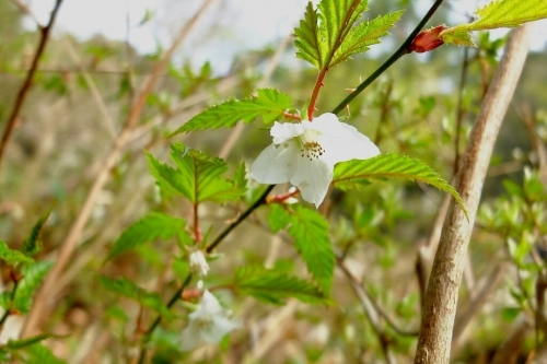 e0304001_20103375.jpg