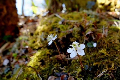 e0304001_20151457.jpg