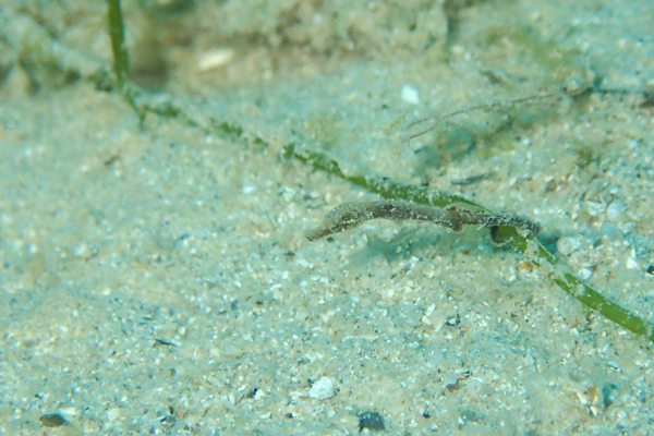f0121701_183025.jpg