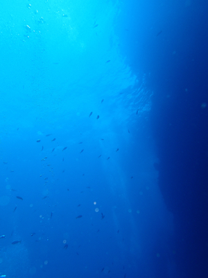 d0252505_01061726.jpg