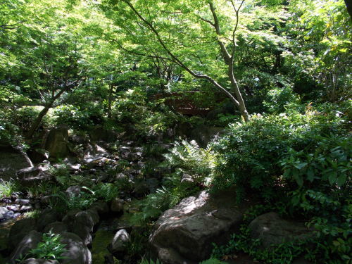 a0347310_22163034.jpg