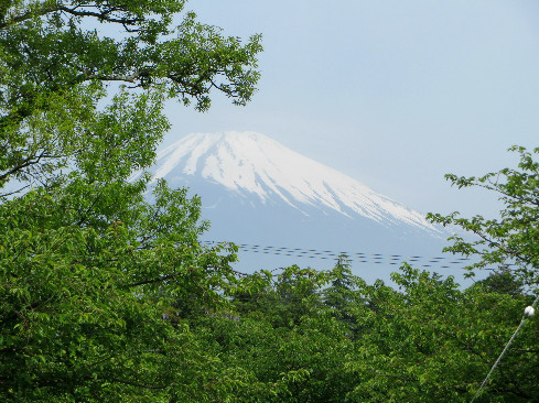 ときすみマルシェに行って来た♪　静岡県御殿場市_d0160611_09120105.jpg