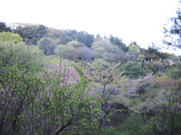 c0346119_02264404.jpg