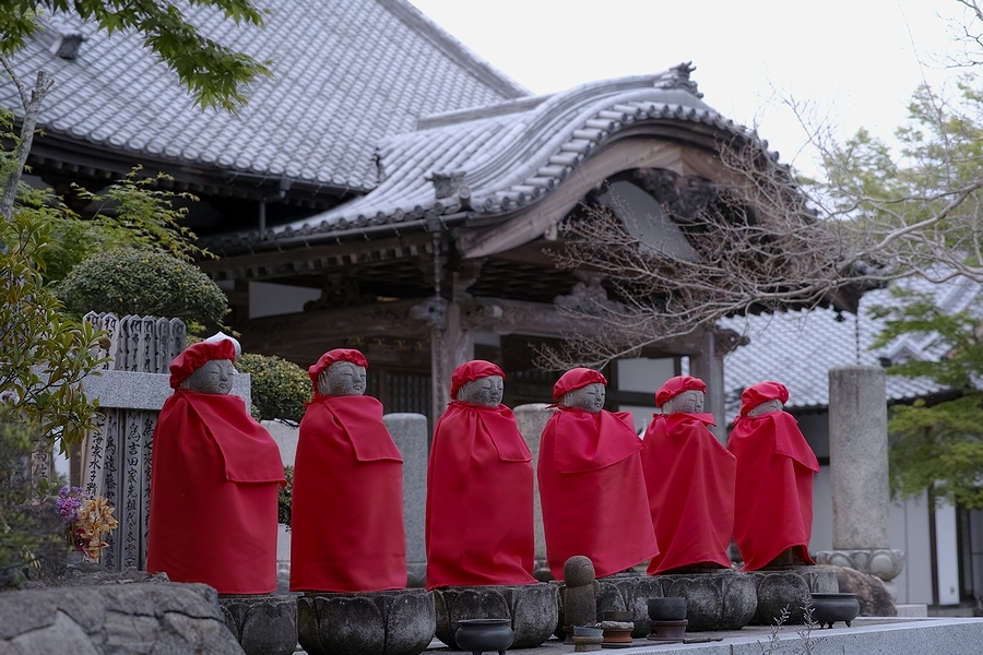 「四季の花だより」 ～ 高蔵寺のシャガ ～_b0338222_14515169.jpg