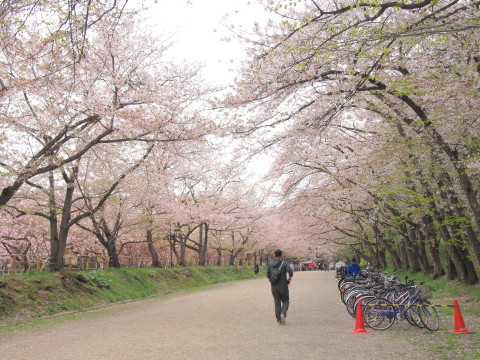 b0147224_012517.jpg