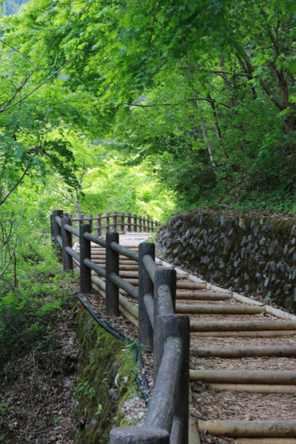 檜原村滝巡り_f0348831_23004660.jpg