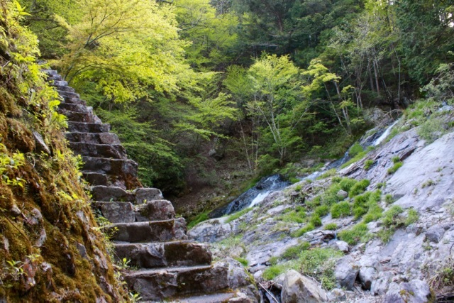 檜原村滝巡り_f0348831_23012077.jpg