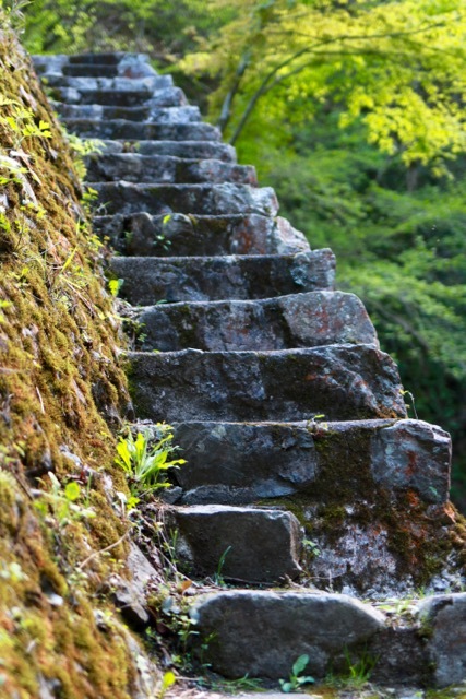 檜原村滝巡り_f0348831_23012256.jpg