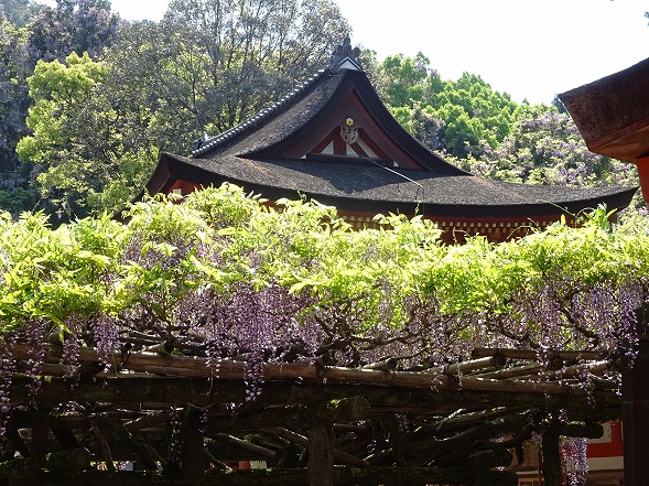 b0299042_6521373.jpg