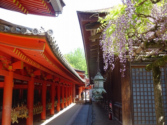 b0299042_6521921.jpg