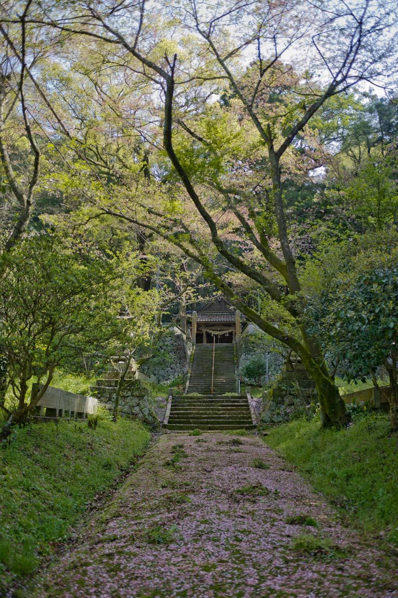 熱田神社　福岡県鞍手郡鞍手町新北_b0023047_04012107.jpg