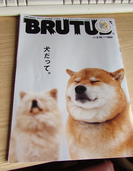 おっさん犬だって きつねこぱん おっさん犬だって きつねこぱん