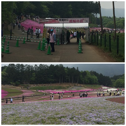 2016年5月羊山公園＆長瀞へ♪_e0201748_6355328.jpg