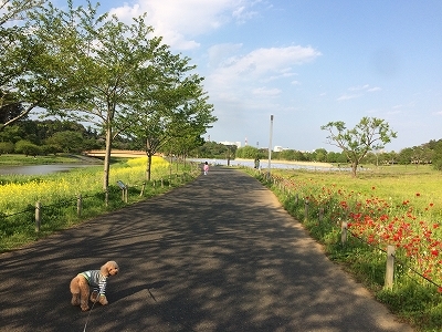 e0170558_21370449.jpg
