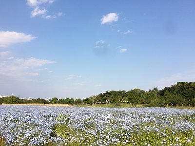 e0170558_21380810.jpg