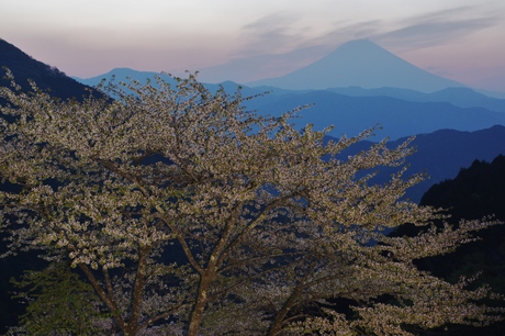 最新富士山の撮影記録_d0229560_14332320.jpg