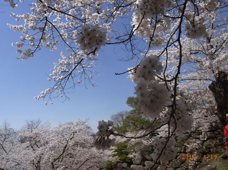b0075364_79124.jpg