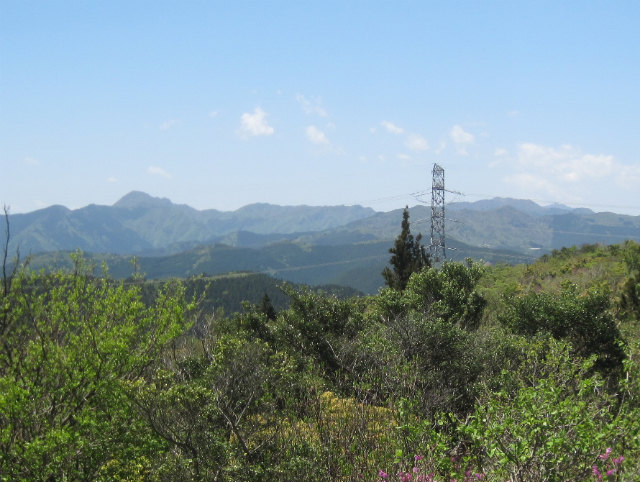 c0219866_1414283.jpg