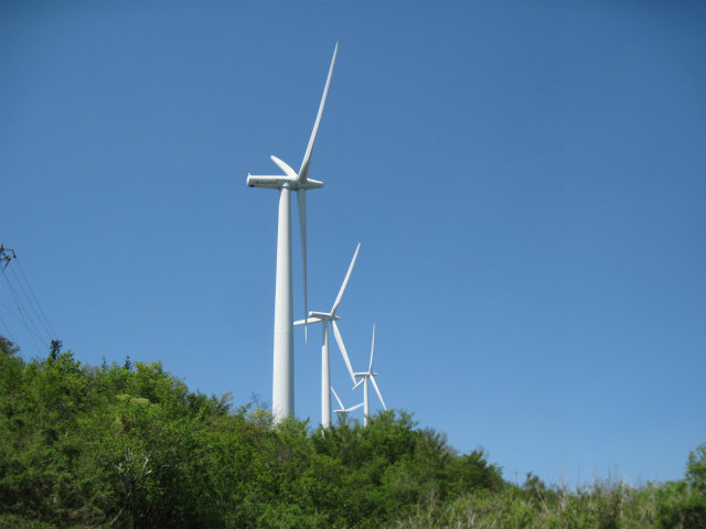 c0219866_1465827.jpg