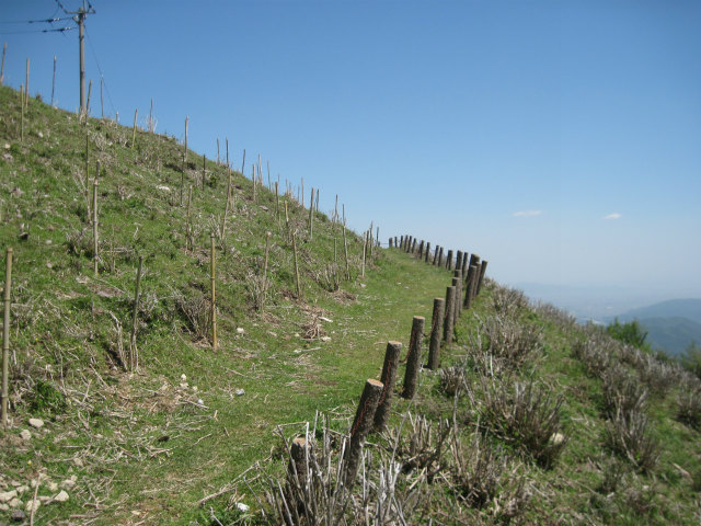 c0219866_148225.jpg