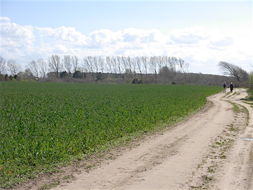 e0357367_23535237.jpg