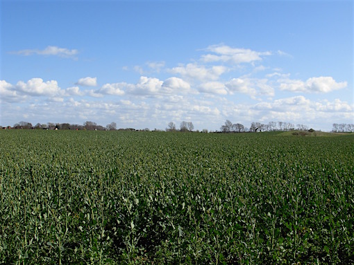 e0357367_2354132.jpg