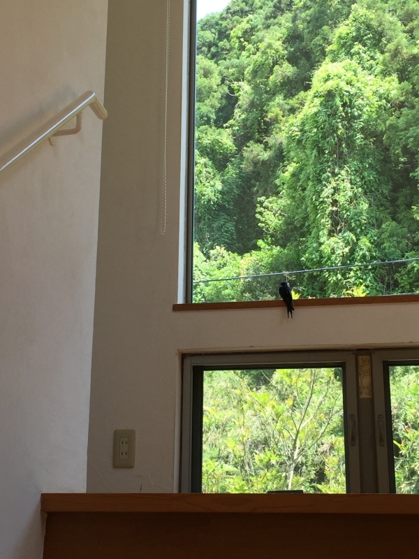 d0183368_11415145.jpeg