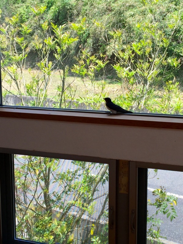 d0183368_11464551.jpeg