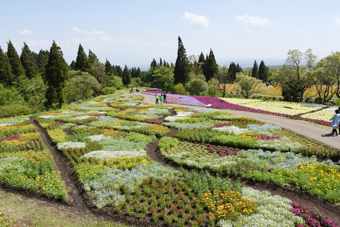 絶景!天空の花園!くじゅう花公園写真(阿蘇くじゅう国立公園内)2_e0171573_23193297.jpg