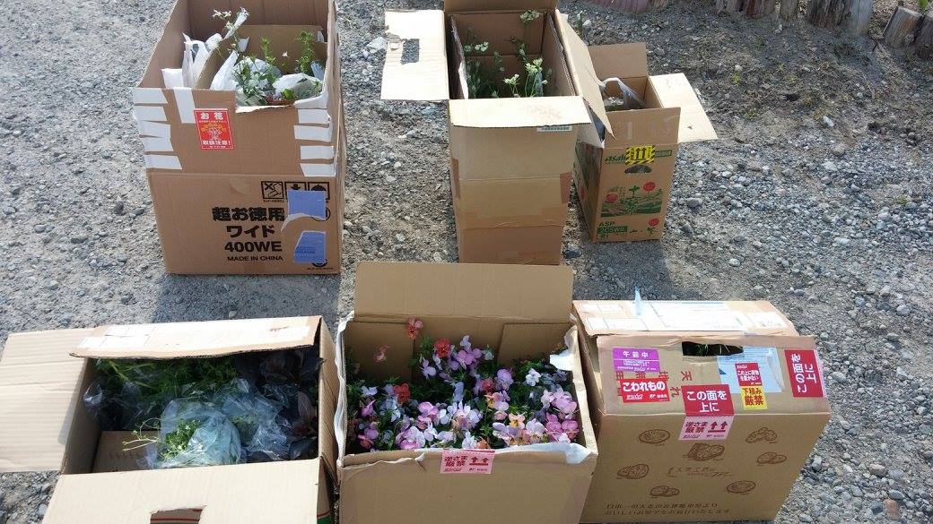 宮城県亘理郡山元町 きく邑_d0259876_18161988.jpg