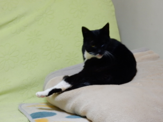 こんなご~るでん_e0355177_14583778.jpg