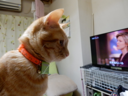 こんなご~るでん_e0355177_14590471.jpg