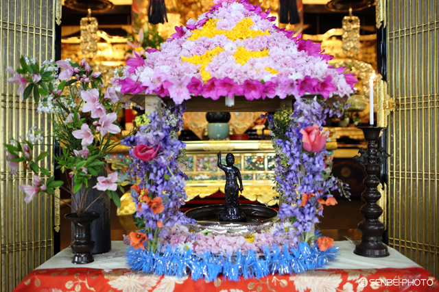 向渕正定寺 子ども花まつり Senbei Photo 向渕正定寺 子ども花まつり Senbei Photo