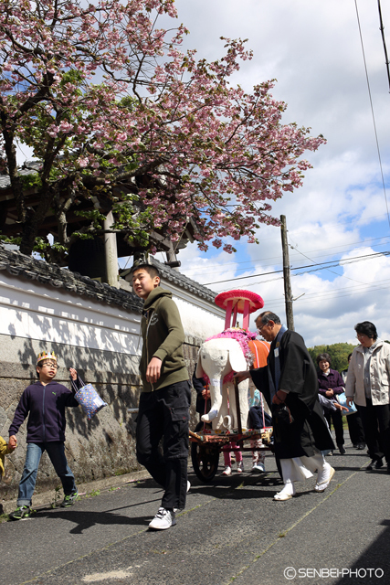 向渕正定寺「子ども花まつり」②_e0271181_20002377.jpg