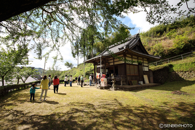 向渕正定寺「子ども花まつり」②_e0271181_20181787.jpg