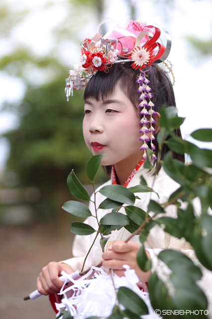 筑摩神社「鍋冠祭」2016①_e0271181_23283965.jpg