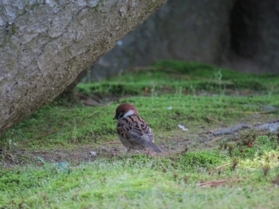 金沢へ、行って来ました。_e0271890_22303435.jpg